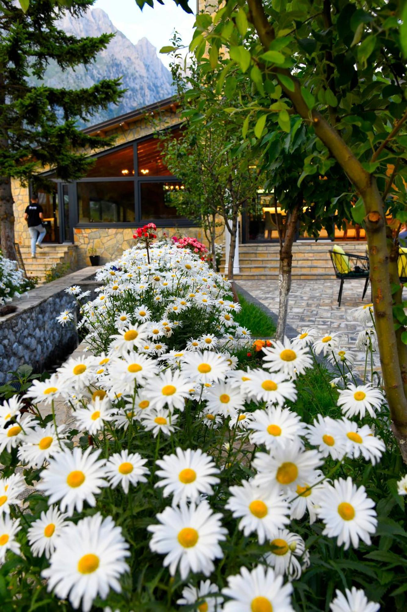 Breezy Hotel 발보너 외부 사진
